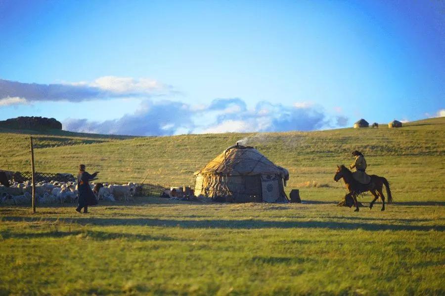 探寻内蒙古，草原风情之旅