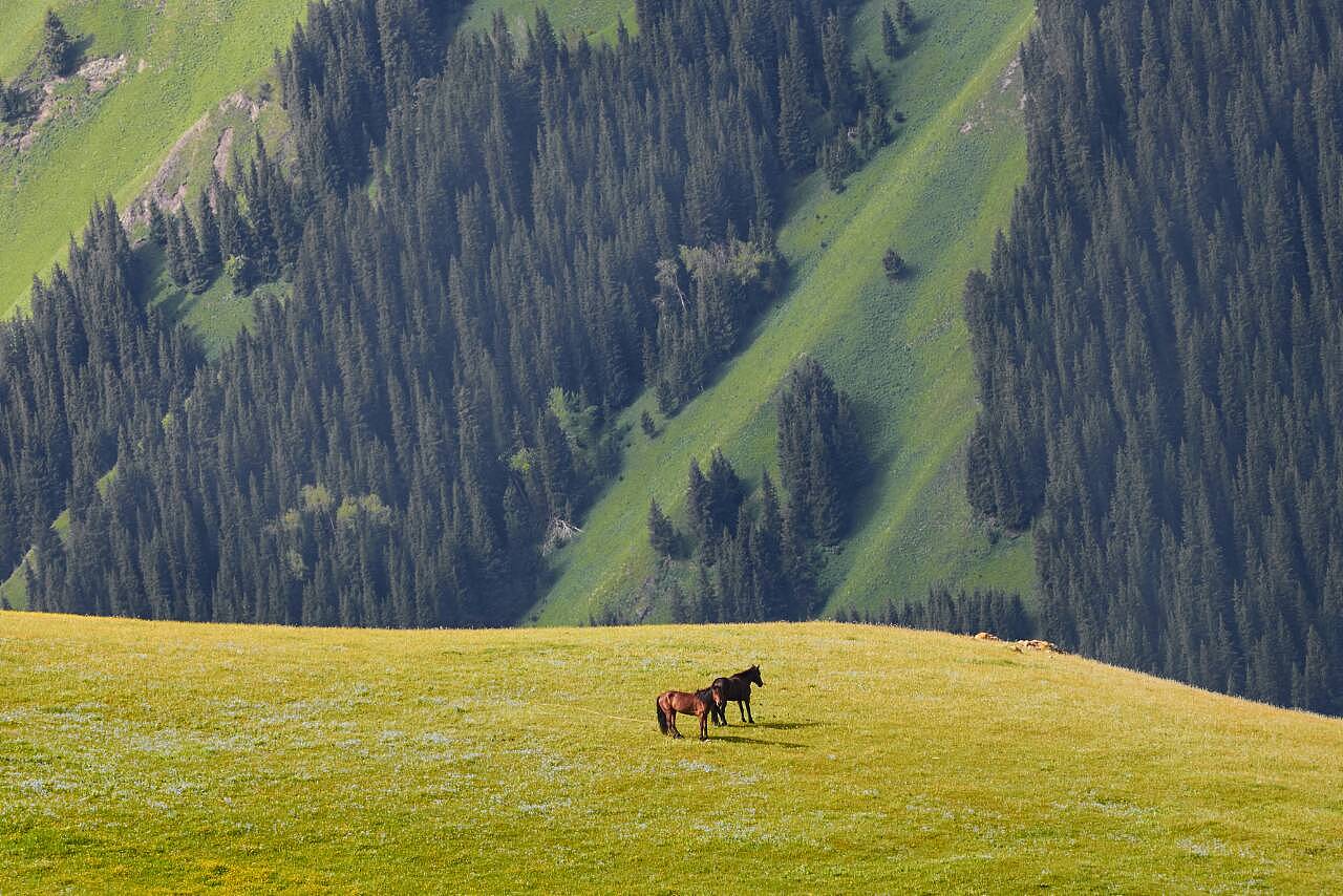 新疆阳光，温暖心房——新疆印象